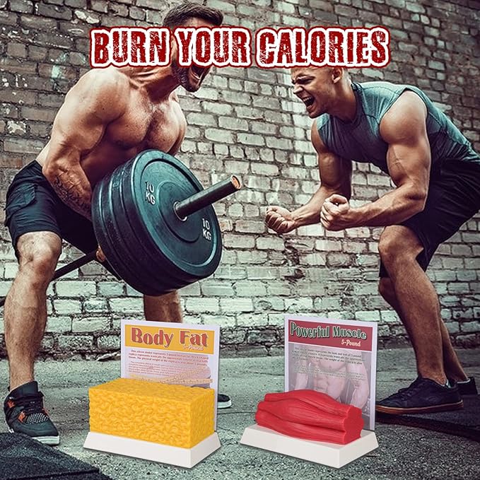 SimCoach Human Body Fat &amp Muscle Replica 5 Lbs Keep Fit &ampFitness Motivation Reminder Silicone Human Muscle Fat Model for Nutritionist Athlete