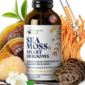 HAPPY FOX Irish Sea Moss Liquid Drops &amp Mushroom Tincture - Seamoss with 7 Adaptogenic Mushroom Extracts for Cognitive Support &amp Gut Health Mushroom Coffee Elixir Pure Vanilla Flavor
