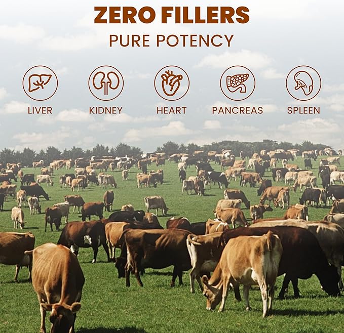Grass Fed Beef Organ Supplement for Women &amp Men -120 Capsules - 100% Organ Complex with 3000mg of Desiccated Beef Liver Heart Kidney Pancreas Spleen - Non-GMO &amp Pasture-Raised Organ Comple
