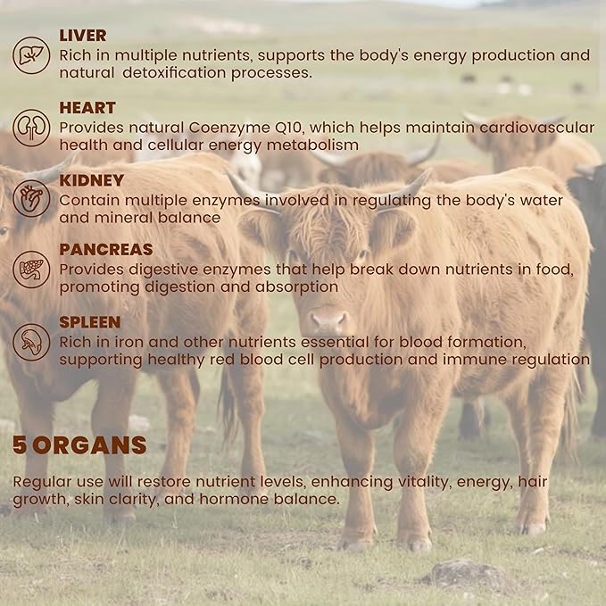 Grass Fed Beef Organ Supplement for Women &amp Men -120 Capsules - 100% Organ Complex with 3000mg of Desiccated Beef Liver Heart Kidney Pancreas Spleen - Non-GMO &amp Pasture-Raised Organ Comple
