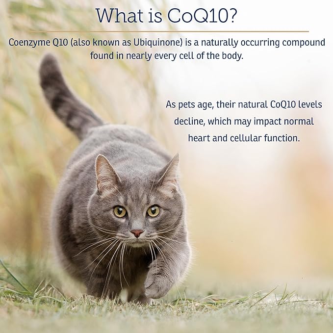 Rx Vitamins CoQ1030 - Coenzyme Q10 for Dogs &amp Cats - 100% Pure Ubiquinone Cat &amp Dog Heart Supplements - Promotes Cardiovascular Function and Antioxidant Support - 30 softgels