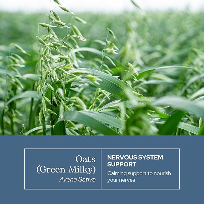 Eclectic Herb - Premium Raw Freeze-Dried Oats Capsules | Milky Green Oats Avena Sativa | Nervous System Support | Natural Dietary Supplement | Organic Vegan Non-GMO (90 CT | 375 mg)