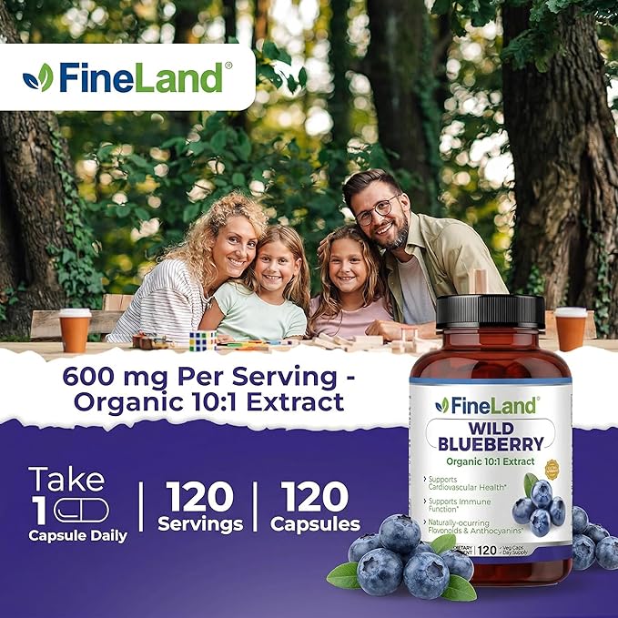 FineLand Wild Blueberry Extract Rich in Flavonoids &amp Anthocyanins Antioxidant Support for Brain &amp Heart Health 4-Month Supply 120 Vegan Capsules Non-GMO Made in USA
