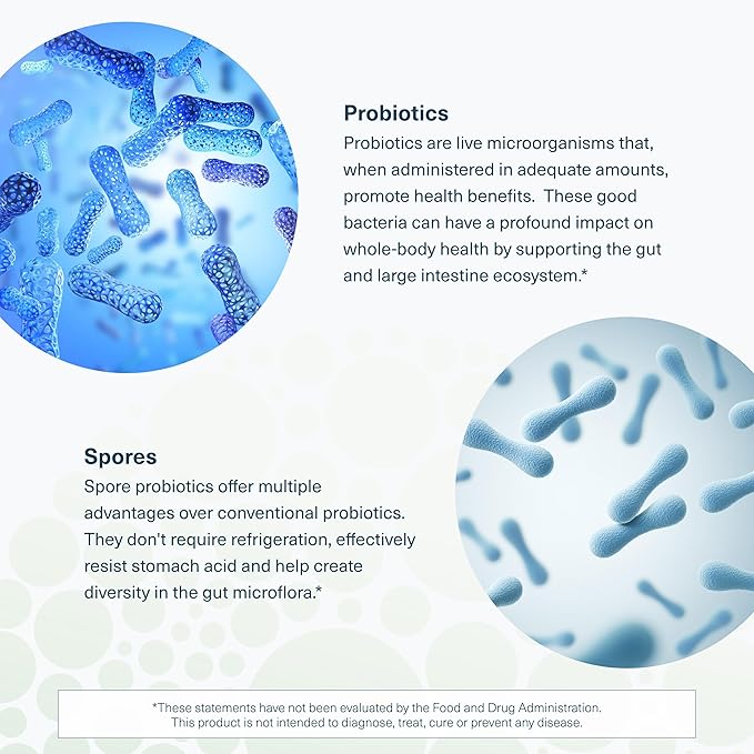 Youtheory Spore Probiotic Powder - Vegan Gut Health Supplement for Men &amp Women* - 6 Billion CFU - Dairy Soy &amp Gluten Free - 3.45 oz