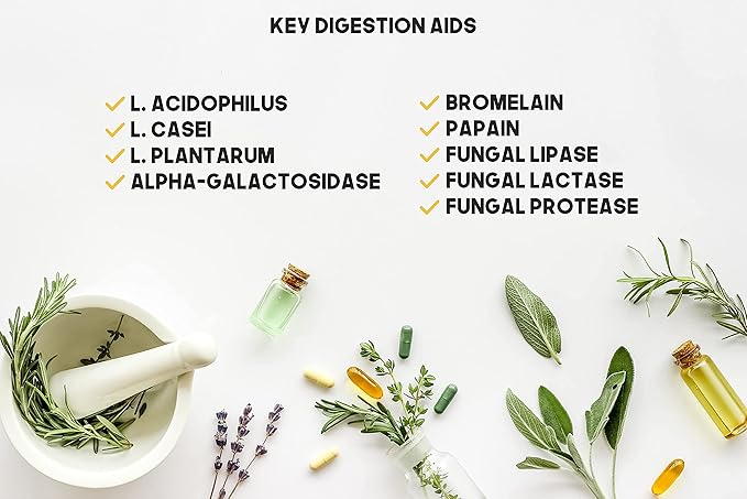 Digestion Aid - 700 Count Blend of Digestive Enzymes and Key Probiotic Strains in a Clear Square Grip Jar