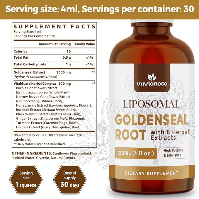 Golden Seal Tincture 3000mg - Goldenseal Root for Immune &amp Lung Care - Sugar-Free Vegan Fast Absorbing - Echinacea &amp Goldenseal Liquid Extract 120 mL (2 Pack)