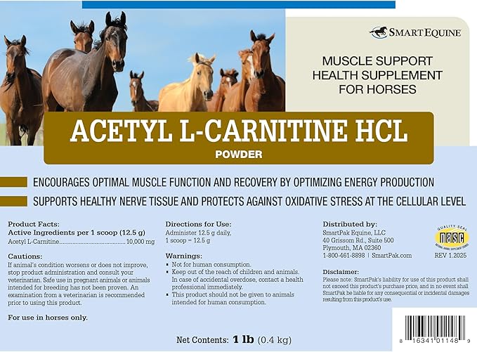 Acetyl L-Carnitine HCL Powder | Horse Energy Supplement &amp Muscle Supplement for Horses Supporting Muscle Function &amp More | Antioxidant-Rich Pure Formula | 1 lb Bag