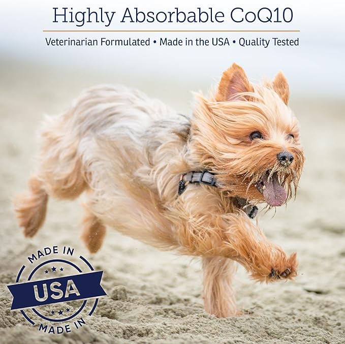 Rx Vitamins CoQ1030 - Coenzyme Q10 for Dogs &amp Cats - 100% Pure Ubiquinone Cat &amp Dog Heart Supplements - Promotes Cardiovascular Function and Antioxidant Support - 30 softgels