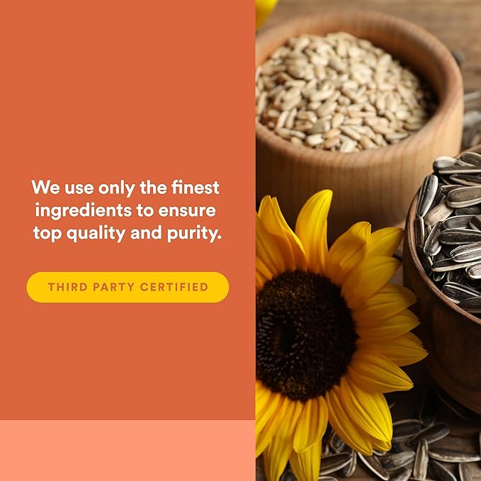 Natural Factors Phosphatidylserine Support for Memory Concentration and Brain Functions Soy and Gluten Free 60 Softgels