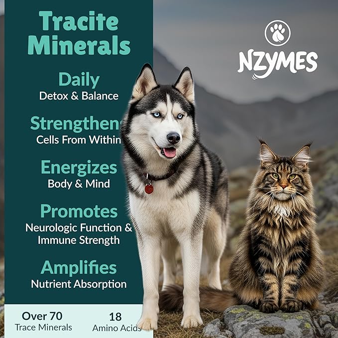 Nzymes® Tracite Minerals for Pets - Fulvic Acid Humic Acid and Iron-Based Trace Mineral Drops and Amino Acids for ATP Energy and Digestive Health - Made in The USA