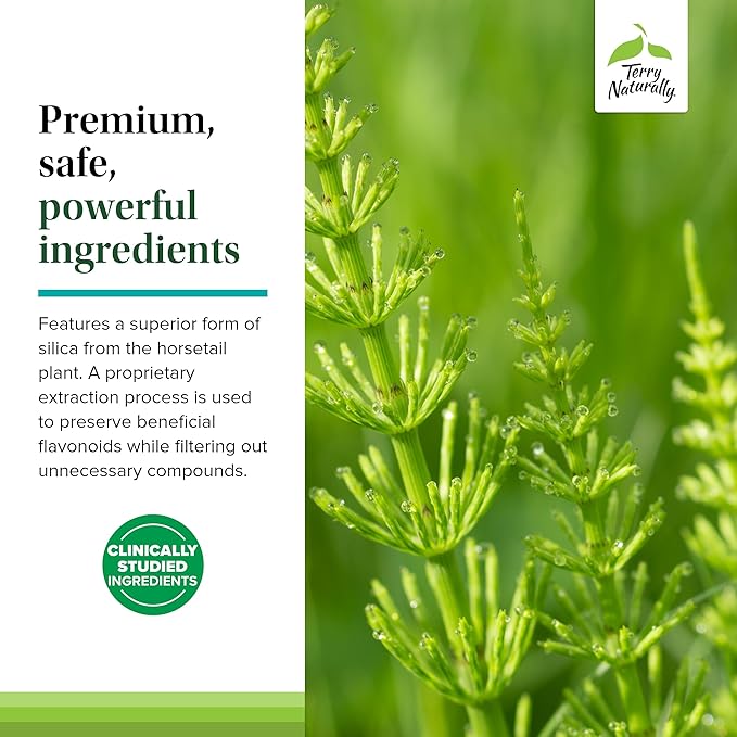 Terry Naturally Silica-20 - Support Hair Growth &amp Nail Strength - Collagen Supplement to Aid Bone Density &amp Strength - Skincare Supplement to Support Skin Nail &amp Bone Health - 90 Tablets