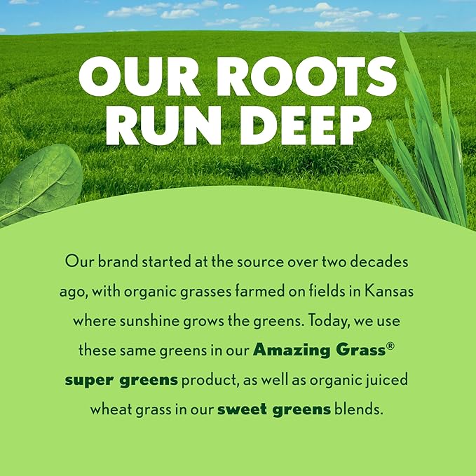 Amazing Grass Greens Blend Superfood: Super Greens Powder Smoothie Mix with Spirulina Chlorella Beet Root Powder Digestive Enzymes Prebiotics &amp Probiotics Original 15 Servings (Packaging May