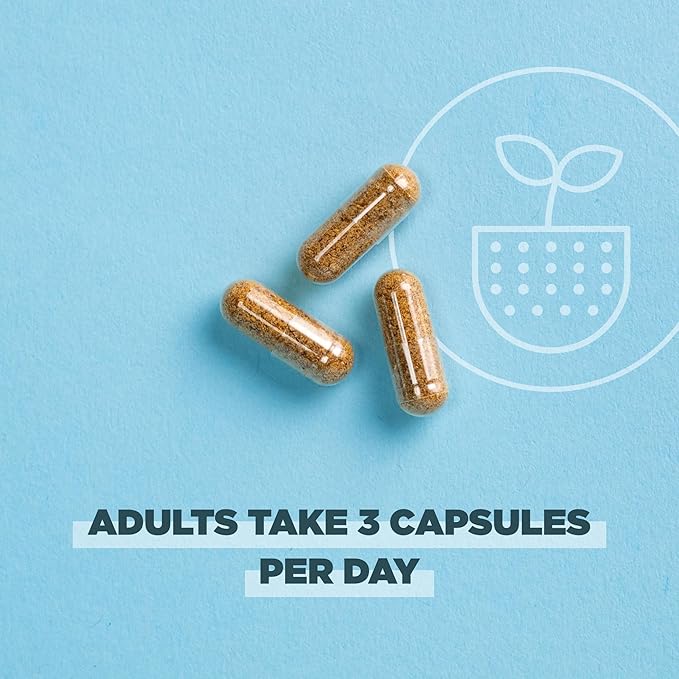 Ancient Nutrition Regenerative Organic Certified Turmeric Capsules Once Daily Use as a Joint Supplement and Supports Inflammation Gluten Free Paleo and Keto Friendly 90 Count