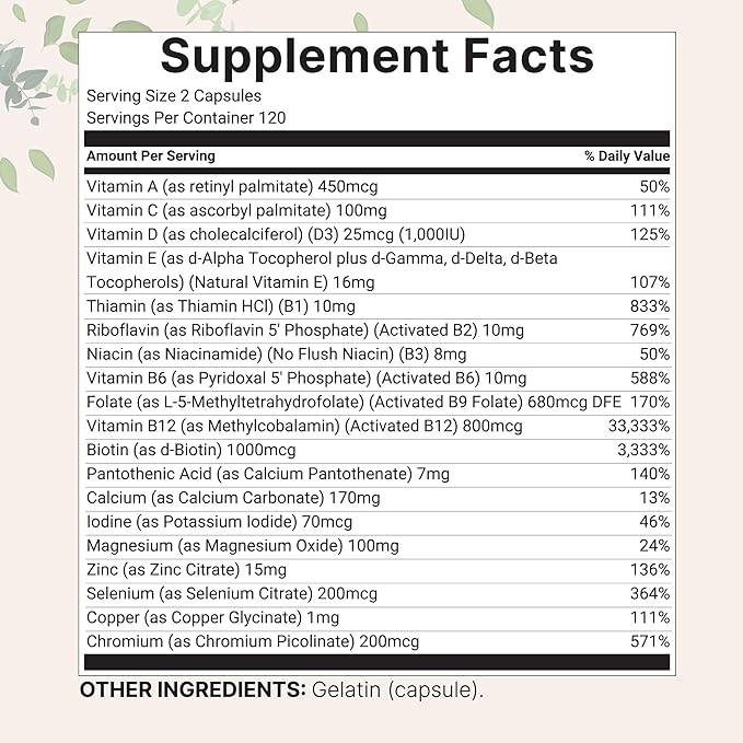 Micro Ingredients 2 Pack Pure Methylated Multivitamin 480 Capsules | 19-in-1 Formula with Vitamins C D B12 Folate Magnesium Zinc &amp More | Supports Daily Wellness &amp Immune Health | Fille