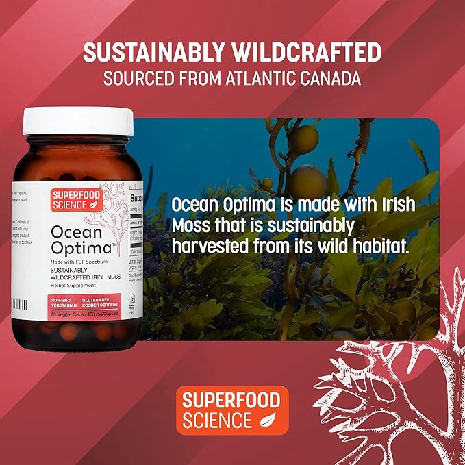 Ocean Optima Organic Sea Moss Capsules (Chondrus crispus) for Skin Nail Hair and Gut Naturally Occurring Kosher Iodine for Thyroid Support Single-Ingredient Wild Irish Seamoss Vegan 90 Servings