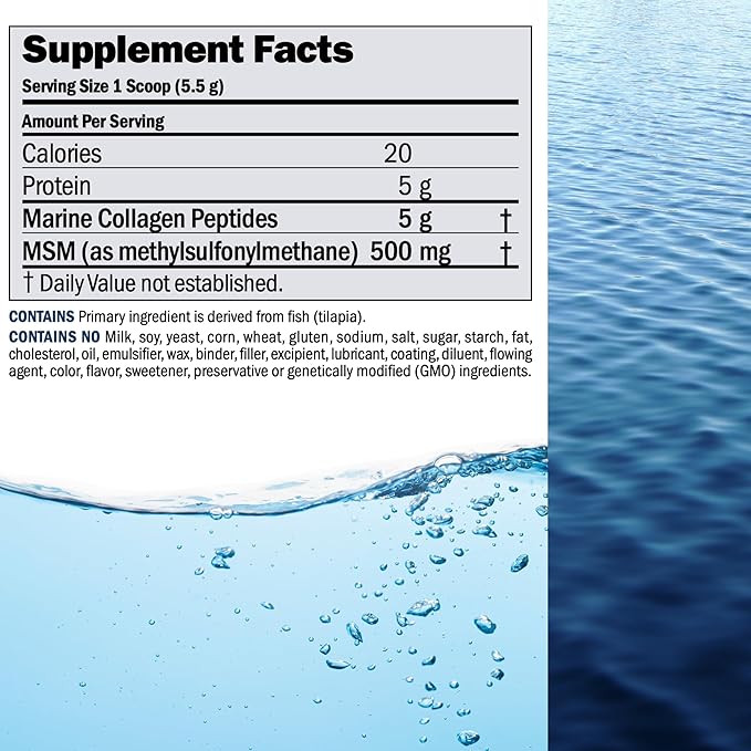 ANDREW LESSMAN Marine Collagen Peptides Powder and MSM 240 Servings - Supports Radiant Smooth Soft Skin Comfortable Joints. Pure. Super Soluble No Fishy Flavor No Additives Non-GMO