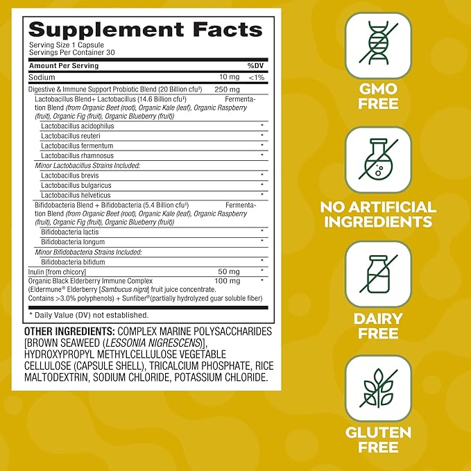 Immunity Probiotic | 20 Billion CFU | Prebiotic Inulin | Gut Health &amp Immune Support | Vegan | Shelf-Stable | 30 Capsules