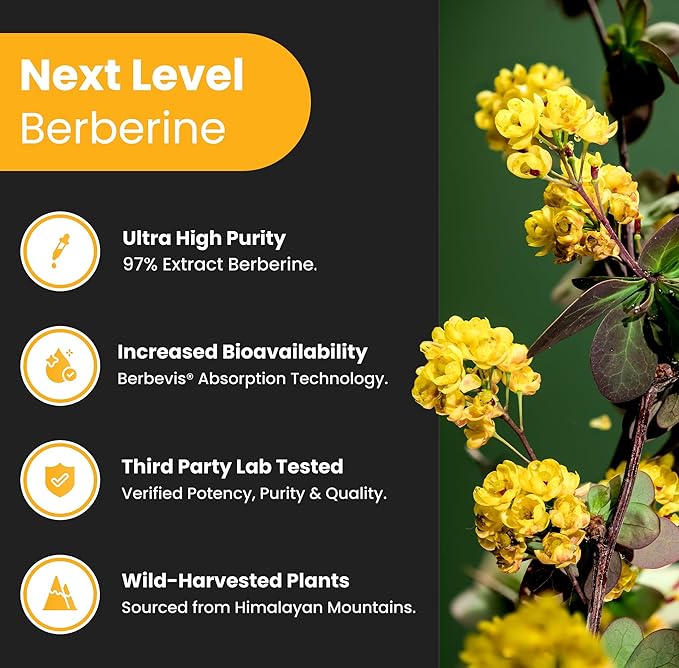 NutraChamps Complete Circulatory &amp Metabolic Boost : Pycnogenol &amp Berberine Duo