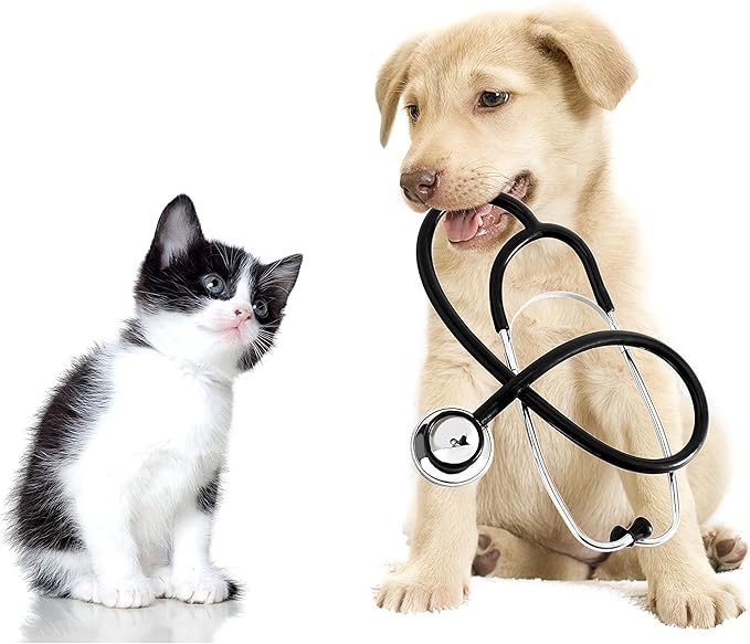 Brain Health for Dogs - Omega 3 - for Dogs and Cats - Health and Wellness - Omega 3 for Dogs Capsule - 1 Bottle (180 Softgels)