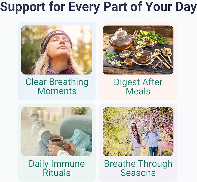 SHIZAM Slippery Elm Mullein Leaf Marshmallow Root Licorice Root Astragalus Root Elderberry &amp Probiotic Bacillus Coagulans Gummies – Sugar-Free Keto-Friendly Vegan - Gymnema Sylvestre
