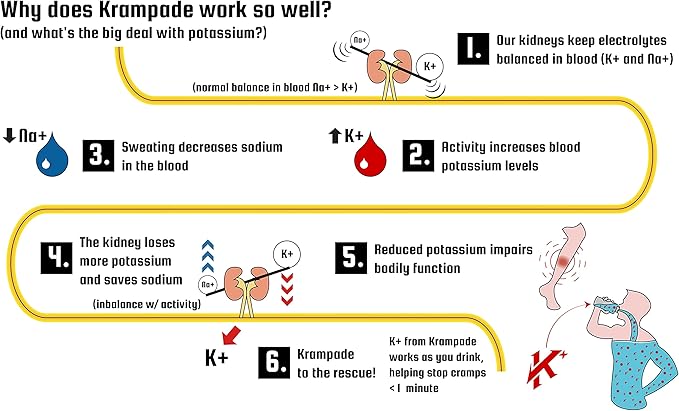 Krampade Original 2K - 2000mg High Potassium Cramp Relief Electrolyte Drink Powder: Faster Recovery Slower Fatigue Optimized Hydration | 20 Single Serving Packets (Lemon Lime)