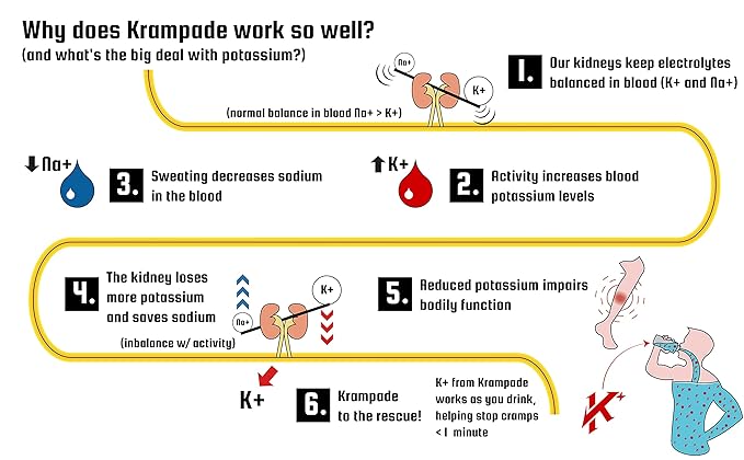 Krampade High Potassium Electrolyte Powder Low Sugar Lemon Lime 7810mg Electrolytes 4000mg Potassium 60mg Magnesium Instant Cramp Relief Cellular Hydration 20 Cramp Stopping Packets