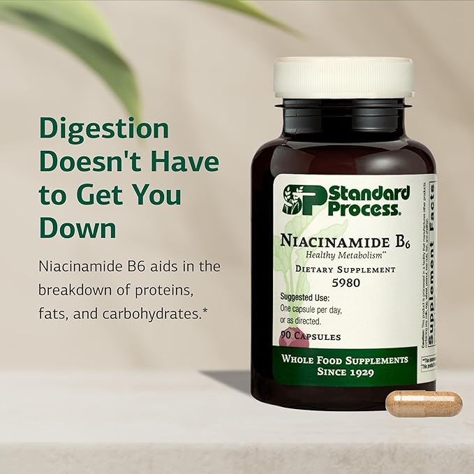 Standard Process Niacinamide B6 - Supports Energy Metabolism &amp Nervous System Health - Aids Blood Flow &amp Digestive Health with Niacin &amp Vitamin B6 - Non-Dairy - 90 Capsules