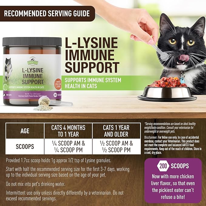 Strawfield Pets L-Lysine Immune Support Granules for Cats &amp Kittens - Immune Health Supplement Cat Cold Relief Sneezing Congestion Running Nose Watery Eyes Chicken Liver Flavor 200 Scoops Per