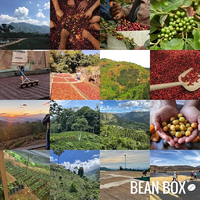 Bean Box Coffee Sampler - Curator's Choice 2-Pack Freshly Ground Gourmet Coffee