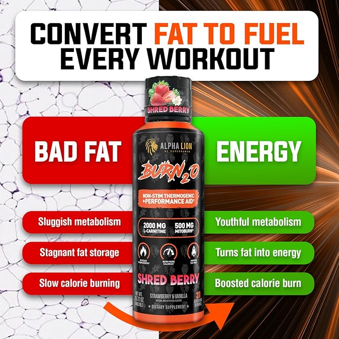 ALPHA LION Burn2O L-Carnitine Liquid 2000mg Premium Liquid Fat Burner &amp Pre-Workout Supplement for Men &amp Women - Natural Energy &amp Metabolism Booster for Weight Loss - ShredBerry