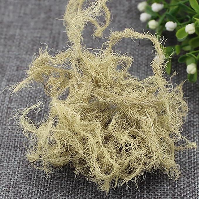 Usnea Lichen Herb Bulk – 300g Dried Usnea Barbata Natural Botanical for Homemade Tea Herbal Remedies Craft &amp Apothecary (1 LB)