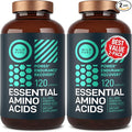 WILD FUEL Essential Amino Acid Complex - Lysine Isoleucine Valine Leucine - All 9 Branch Chain Amino Acids Supplement for Power and Recovery for Women And Men - 60-days Supply 240 Vegan BCAA Pills