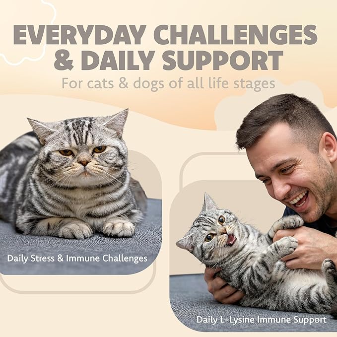 LOVITA Pets L-Lysine Powder for Cats &amp Dogs Immune Support Pet Supplement with AjiPure L-Lysine and Vitamin C Salmon Flavor for Daily Use Includes Scoop