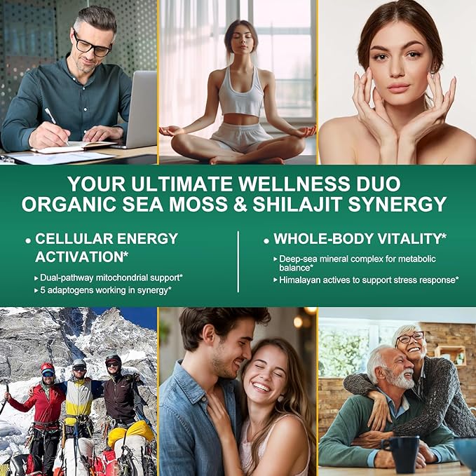 Pure Himalayan Organic - Shilajit Capsules - Premium Shilajit for Men - with Ashwagandha Ginseng and More Fulvic Acid for Men/Women - 120 Capsules