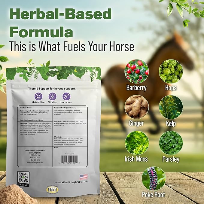 Silver Lining Herbs Thyroid Support for Horses – Herbal Horse Supplement for Normal Thyroid Function Hormone Balance &amp Healthy Metabolism with Irish Moss Kelp Parsley – 120-Day Supply