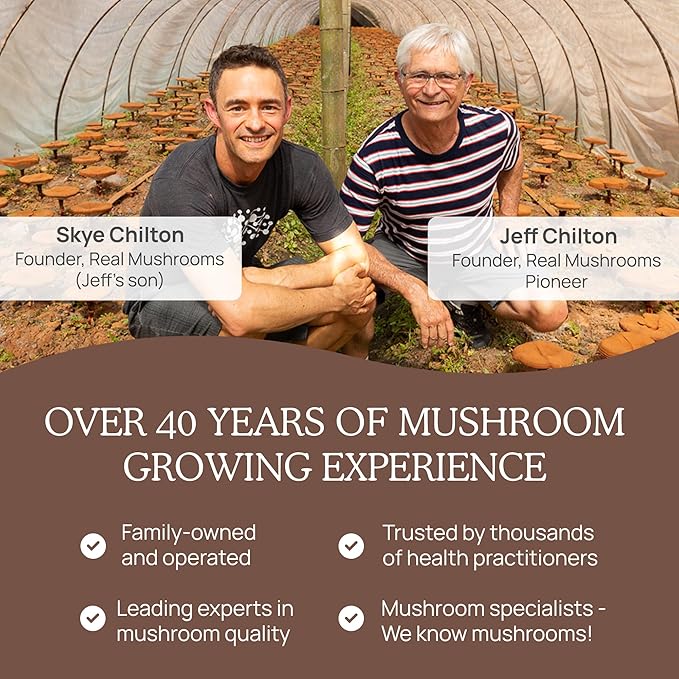 Real Mushrooms Organic Hot Chocolate Mix with Reishi Turkey Tail Chaga Shiitake Maitake – Cacao Powder Organic Mushroom– 5 Defenders Mushroom Cacao Powder Vegan Gluten-Free 15 Servings