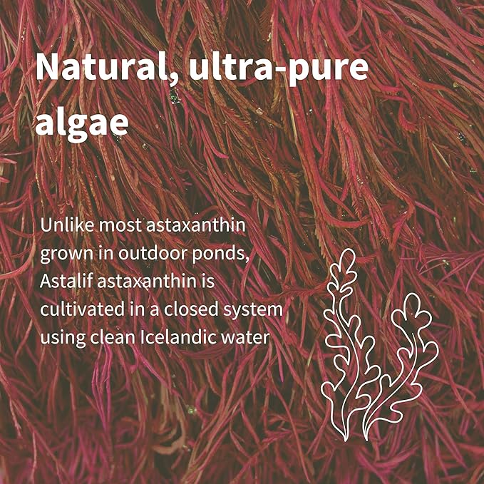 Igennus Vegan Astaxanthin 4mg Complex with Lutein and Zeaxanthin 90 Small Softgels from 42 mg Astapure Natural Algae Antioxidant for Eyes Skin &amp Joints Non-GMO H. Pluvialis