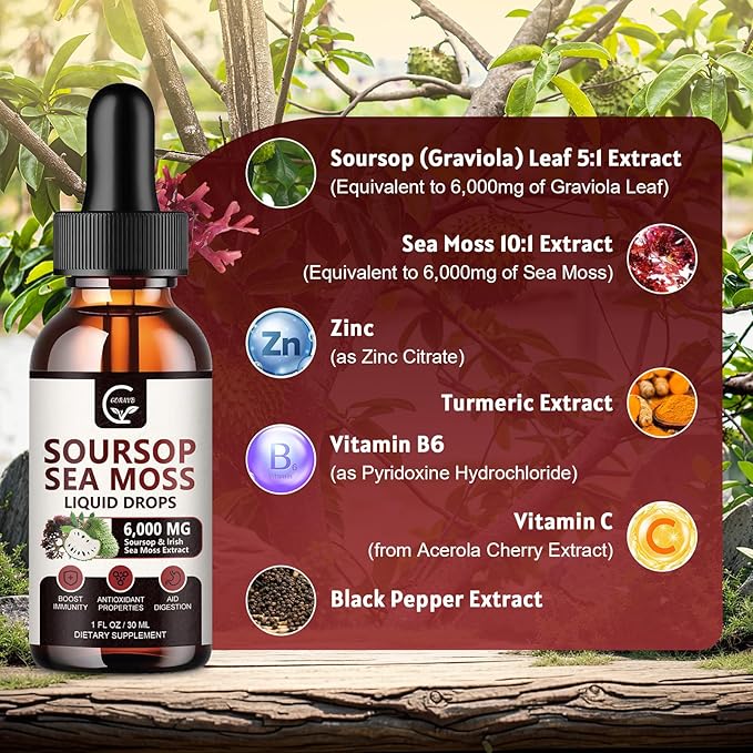 (2 Pack) Soursop Graviola Liquid Drop Soursop Bitters Multivitamin Liquid with Sea Moss &amp Turmeric 98% Absorption for Cell Support &amp Regeneration Immune Boost and Liver 1 Fl Oz