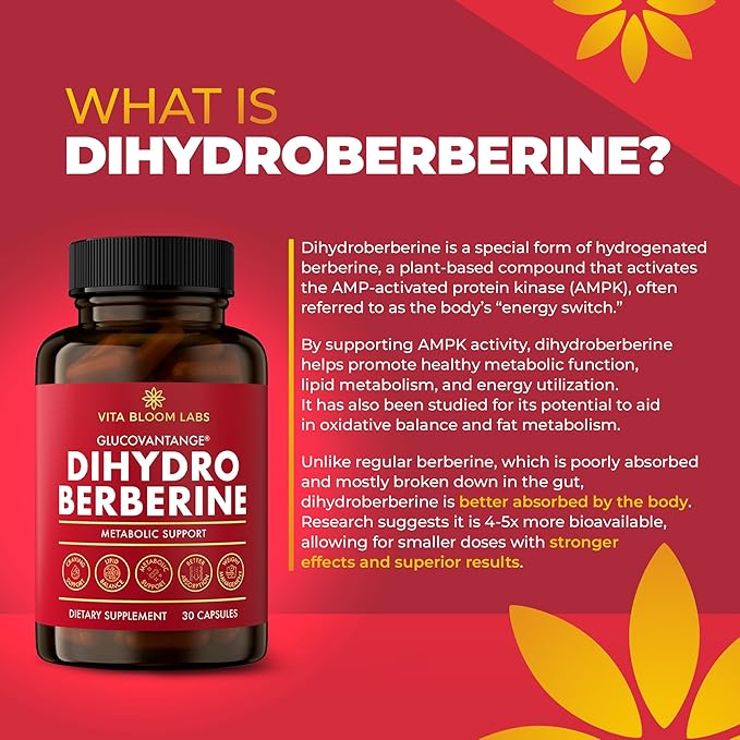 GlucoVantage Dihydroberberine Supplement - Enhanced Berberine for Superior Absorption &amp Effectiveness - Overall Wellness Support &amp Energy Balance (200mg)