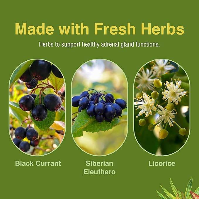 Herbs Etc. Adrenotonic - Herbal Supplement for Adrenal Gland Health Support - Energy Support Supplement for Men &amp Women - 60 Softgels (60 Servings)