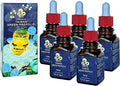 Taiwan Green Propolis High Concentration Propolin &gt 60mg/ml Nutrient-Rich Antioxidant (5)