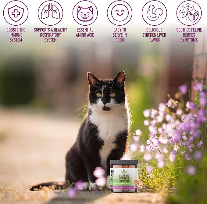 Strawfield Pets L-Lysine Immune Support Granules for Cats &amp Kittens - Immune Health Supplement Cat Cold Relief Sneezing Congestion Running Nose Watery Eyes Chicken Liver Flavor 200 Scoops Per