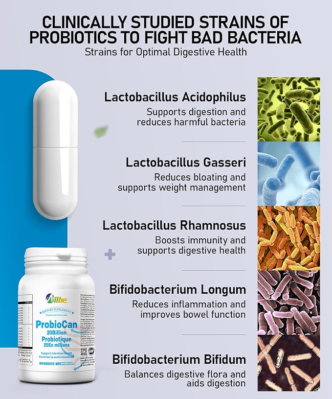 Probiocan 𝟮𝟬 𝗕𝗶𝗹𝗹𝗶𝗼𝗻 𝗖𝗙𝗨 𝗣𝗿𝗼𝗯𝗶𝗼𝘁𝗶𝗰𝘀 𝗳𝗼𝗿 𝗗𝗶𝗴𝗲𝘀𝘁𝗶𝘃𝗲 𝗛𝗲𝗮𝗹𝘁𝗵 7 Strains of Probiotic for Women 4 Packs of 60 Capsules (240 Days Supply)