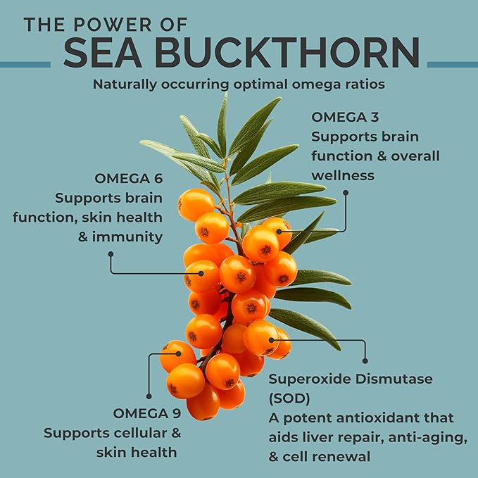 SEABUCKWONDERS Organic Sea Buckthorn Seed Oil 1 Fl Oz 30 Servings with Omega 3 6 &amp 9 Can Be Used Topically &amp Orally Supports Hair Skin &amp Nail Health