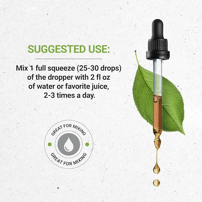 Secrets of the Tribe Grape Seed and Black Walnut Liquid Extract (2 pcs.) | Alcohol-Free Tinctures | Grape (Vitis vinifera) Dried Seed and Black Walnut (Juglans nigra) Dried Hull (2x4 fl oz)