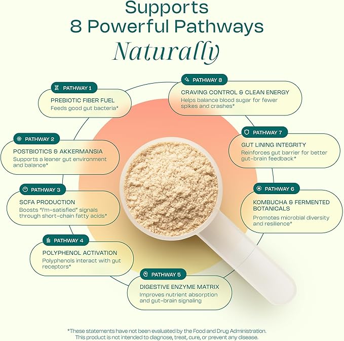 LevelUp® GLP Superfood – with Akkermansia Probiotic Prebiotics Postbiotics Digestive Enzymes &amp Polyphenols | Fiber-Powered Gut Drink | Keto Vegan Zero Sugar (Unflavored)