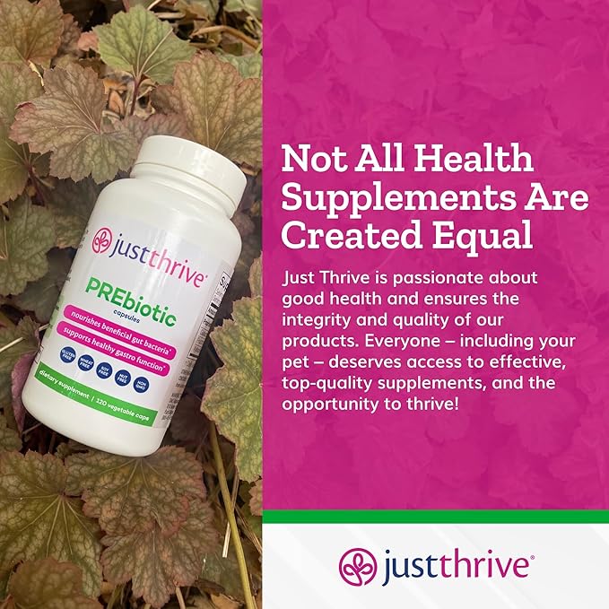 Just Thrive PREbiotic Capsules - Prebiotic Blend for Gut Health and Immune Support 120 Caps