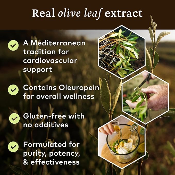Comvita Olive Leaf Extract Liquid - Immune Support Supplement with Oleuropein Liquid Extract Drops Natural Source of Antioxidants - 16.9 fl oz