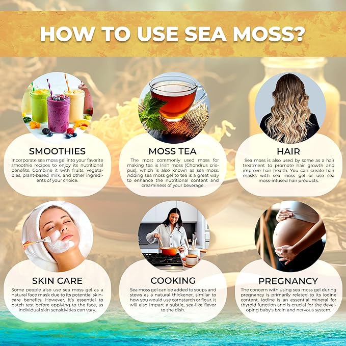 WELLNESS LABSRX Irish Sea Moss Gel Raw - Wildcrafted Superfood Seamoss Gel - Original Flavor Vitamin and Mineral-Rich from Pristine Caribbean Waters Immune and Digestive Health Support - 10 oz.