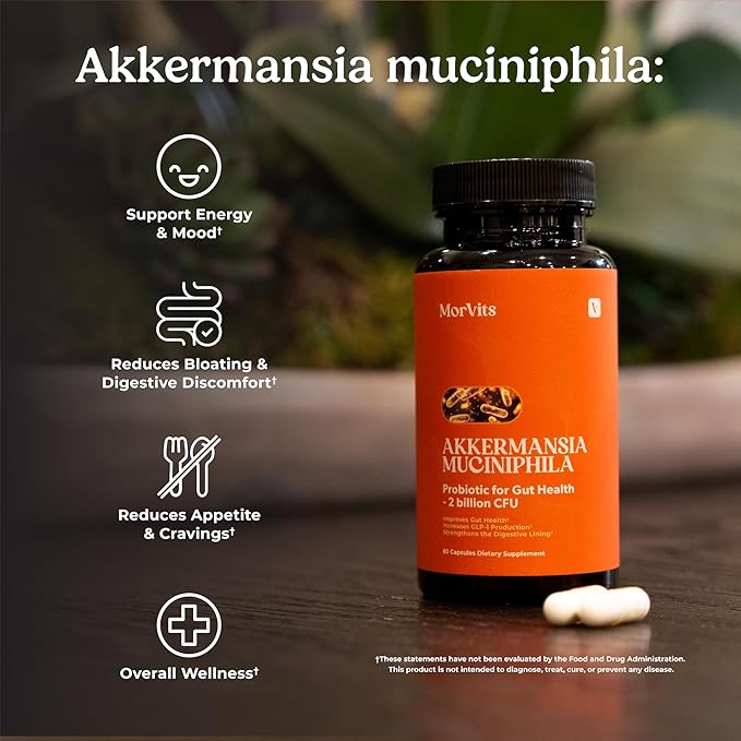 Akkermansia Probiotic for Cravings &amp Gut Health | GLP-1 Support Supplement with Akkermansia Muciniphila – 2 Billion CFU Inulin Prebiotic Fiber – 60 Capsules 1 Pack